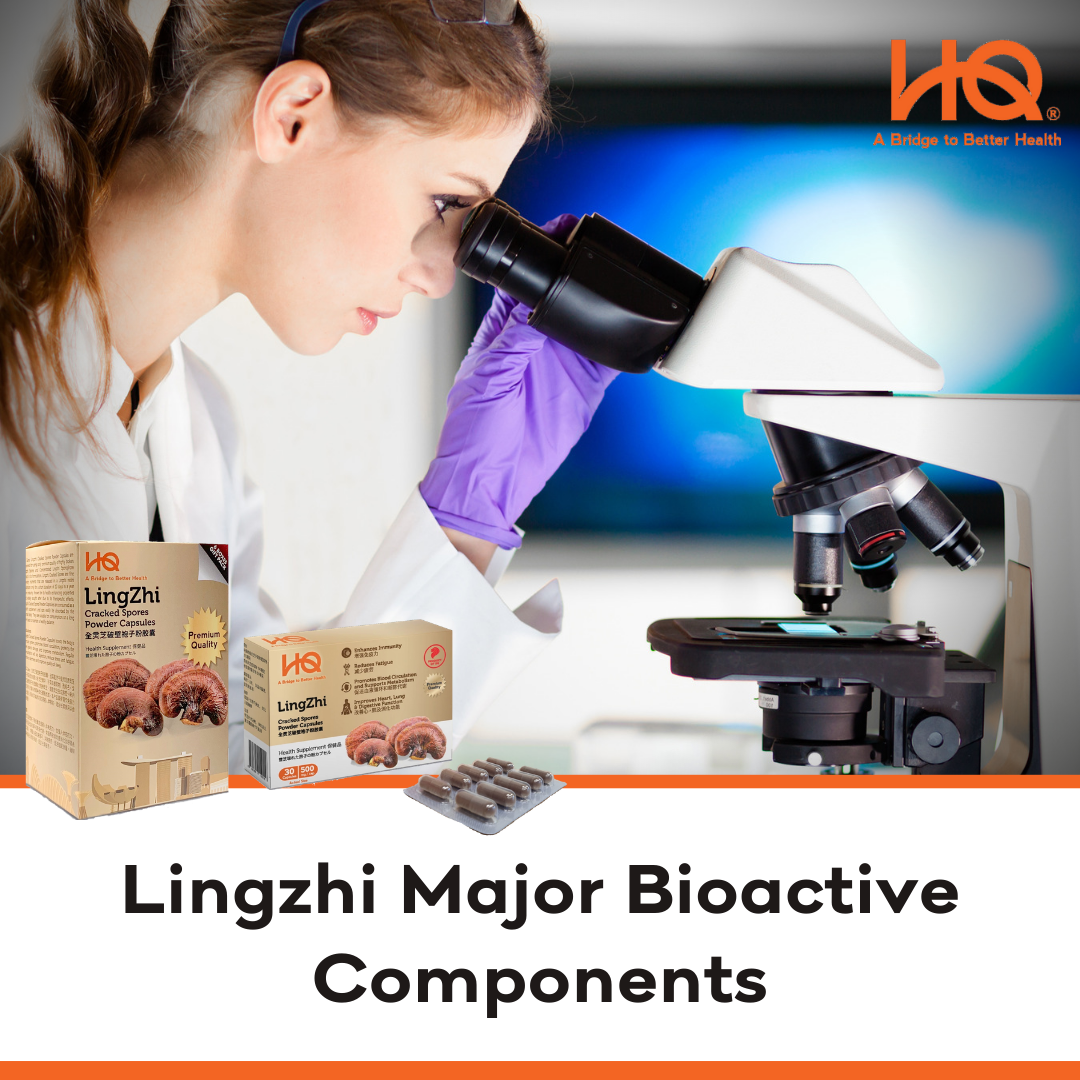 Lingzhi Major Bioactive Components
