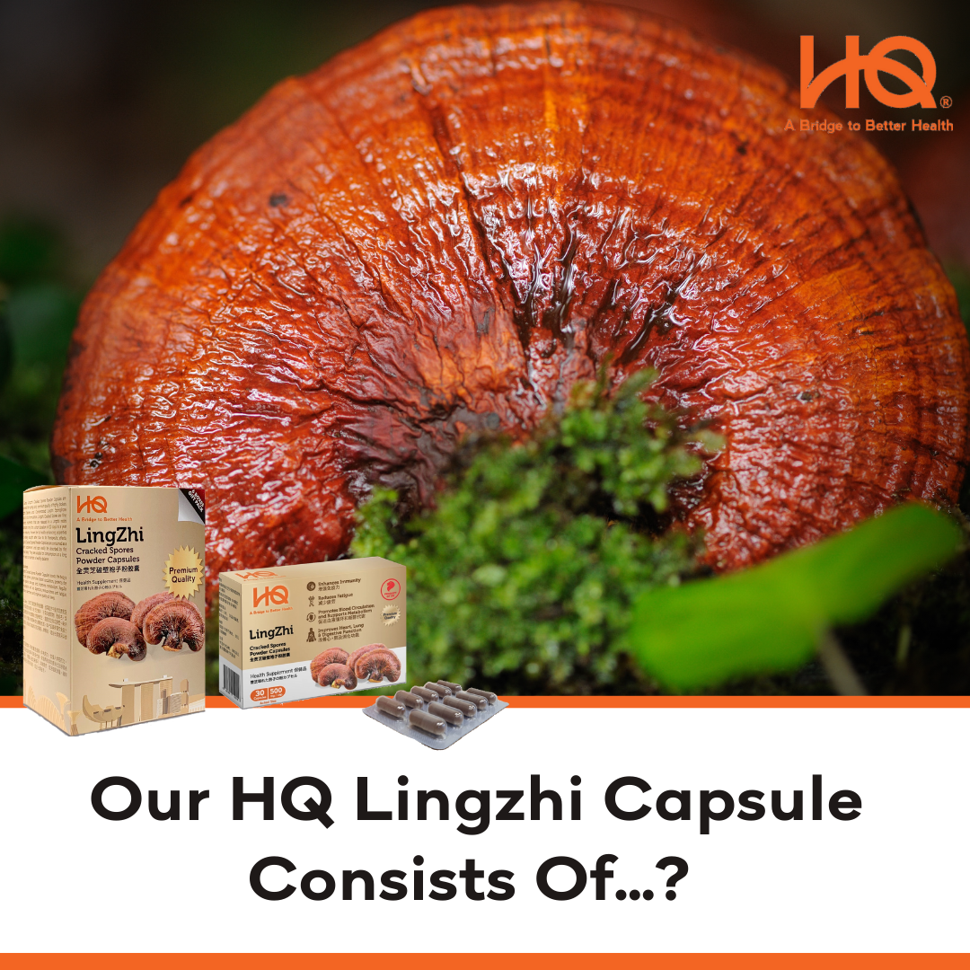 Our HQ Lingzhi Capsule Consists Of...? – HQ Lingzhi Singapore