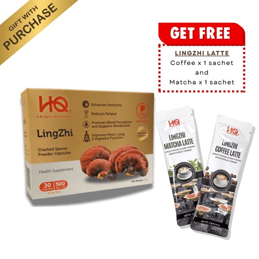 (1 Box TRIAL + Free Gift) HQ Lingzhi 500mg Premium Cracked Spores Powder Capsules - HQ Lingzhi Singapore