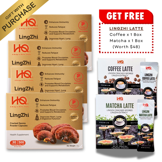 (Bundle of 4 + 2 Free Gifts) HQ Lingzhi 500mg Premium Cracked Spores Powder Capsules