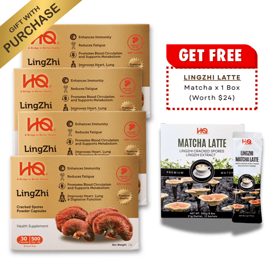 (Bundle of 4 + Free Gift) HQ Lingzhi 500mg Premium Cracked Spores Powder Capsules - HQ Lingzhi Singapore