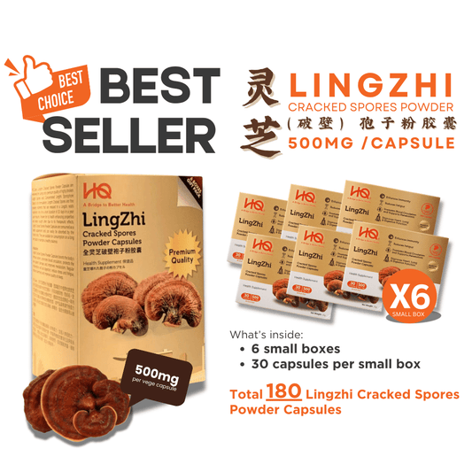(1 Gift Pack X6) HQ Lingzhi 500mg Premium Cracked Spores Powder Capsules - HQ Lingzhi Singapore