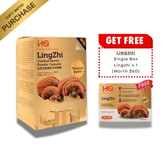 (1 Gift Pack X6) HQ Lingzhi 500mg Premium Cracked Spores Powder Capsules - HQ Lingzhi Singapore