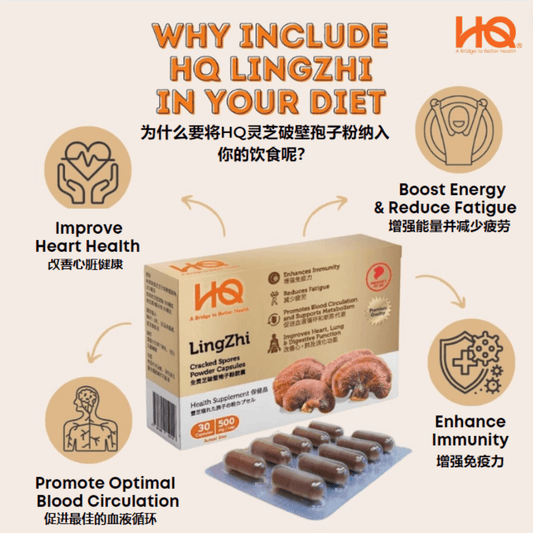 HQ Lingzhi Cracked Spores Powder Capsules 灵芝保健- HQ Lingzhi Singapore - Lingzhi Benefit - 500mg