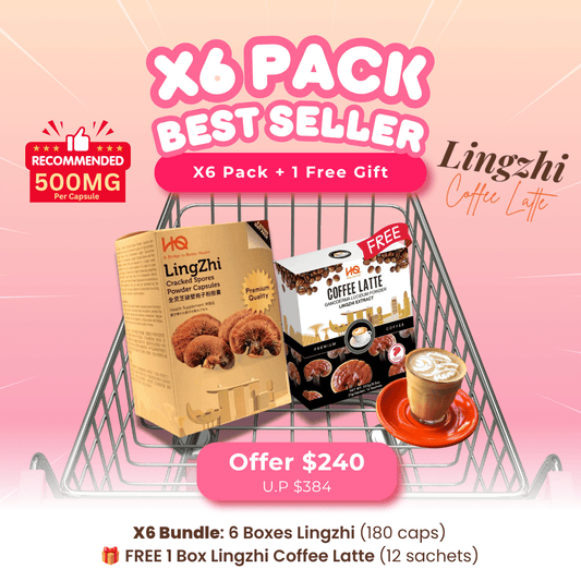 (1 Gift Pack X6) HQ Lingzhi 500mg Premium Cracked Spores Powder Capsules - HQ Lingzhi Singapore