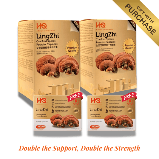 (2 Gift Packs X12) HQ Lingzhi 500mg Premium Cracked Spores Powder Capsules - HQ Lingzhi Singapore