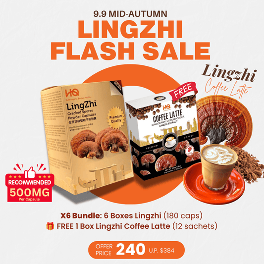 (1 Gift Pack X6) HQ Lingzhi 500mg Premium Cracked Spores Powder Capsules - HQ Lingzhi Singapore