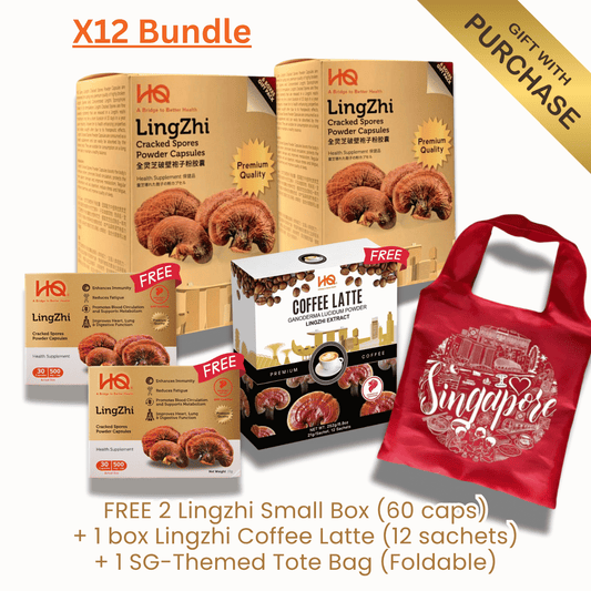 (2 Gift Packs X12) HQ Lingzhi 500mg Premium Cracked Spores Powder Capsules