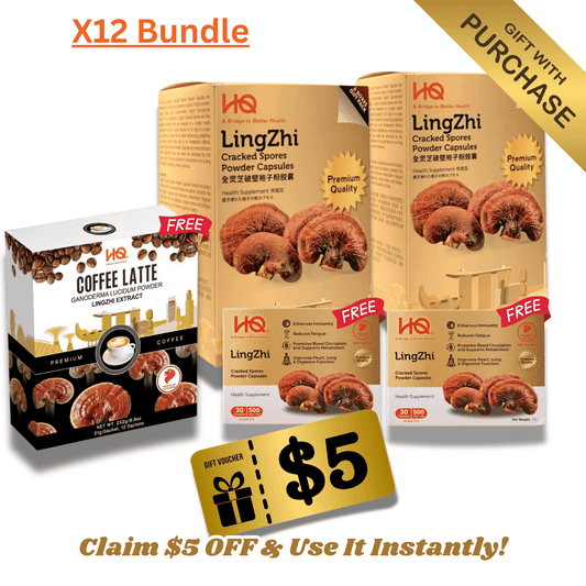 (2 Gift Packs X12) HQ Lingzhi 500mg Premium Cracked Spores Powder Capsules - HQ Lingzhi Singapore