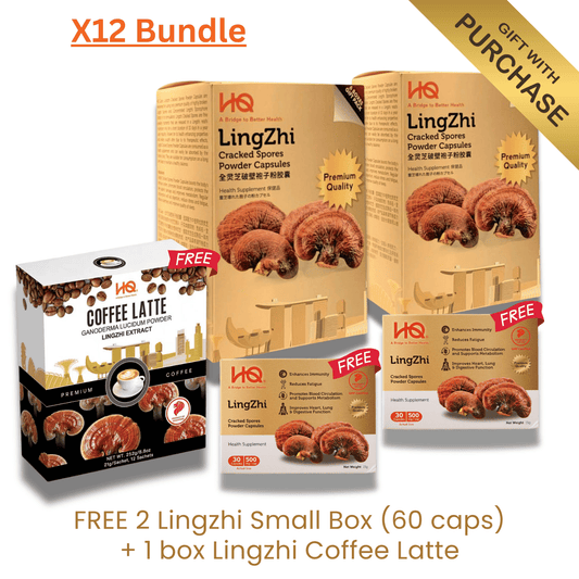 (2 Gift Packs X12) HQ Lingzhi 500mg Premium Cracked Spores Powder Capsules - HQ Lingzhi Singapore