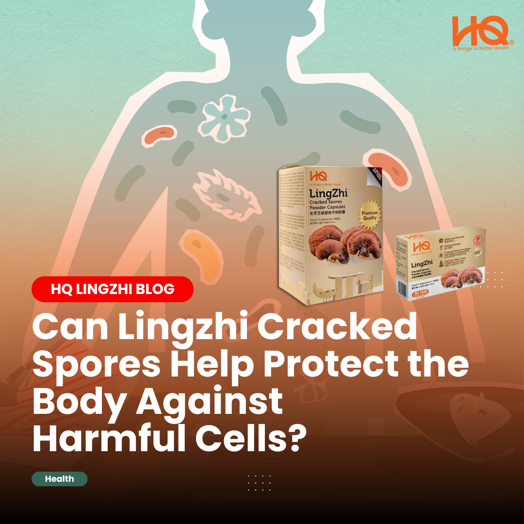 Can Lingzhi Cracked Spores Help Protect the Body Against Harmful Cells?
