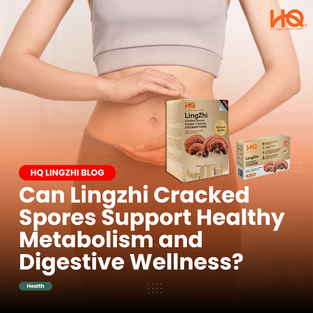 Can Lingzhi Cracked Spores Support Healthy Metabolism and Digestive Wellness?