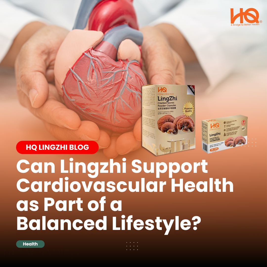 Can an Increased Intake of Lingzhi Cracked Spores Be Good For Cardiovascular Health?