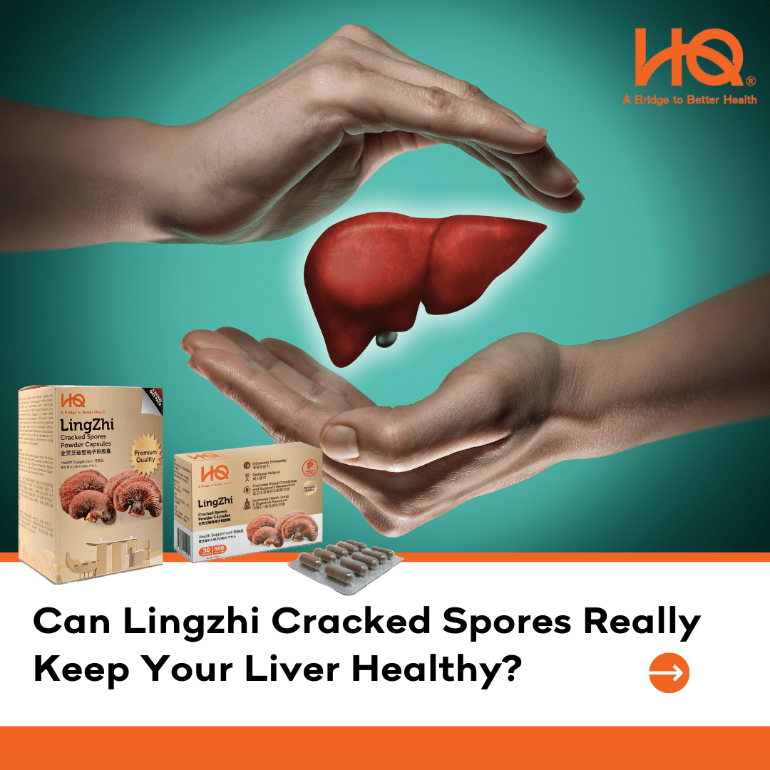 Can Lingzhi Cracked Spores Really Keep Your Liver Healthy? - HQ Lingzhi Singapore