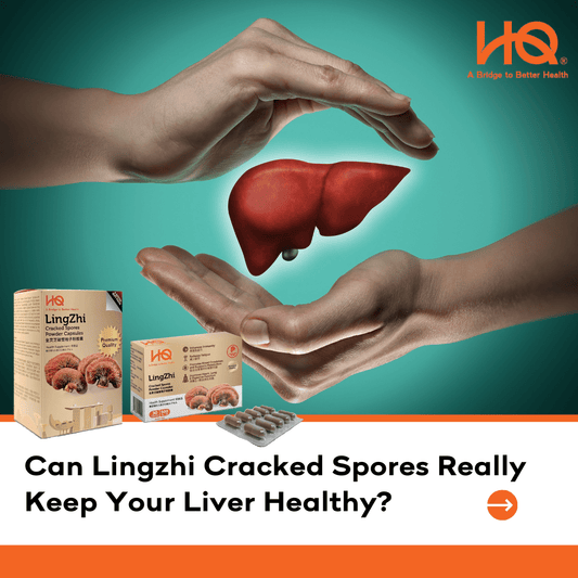 Can Lingzhi Cracked Spores Really Keep Your Liver Healthy? - HQ Lingzhi Singapore