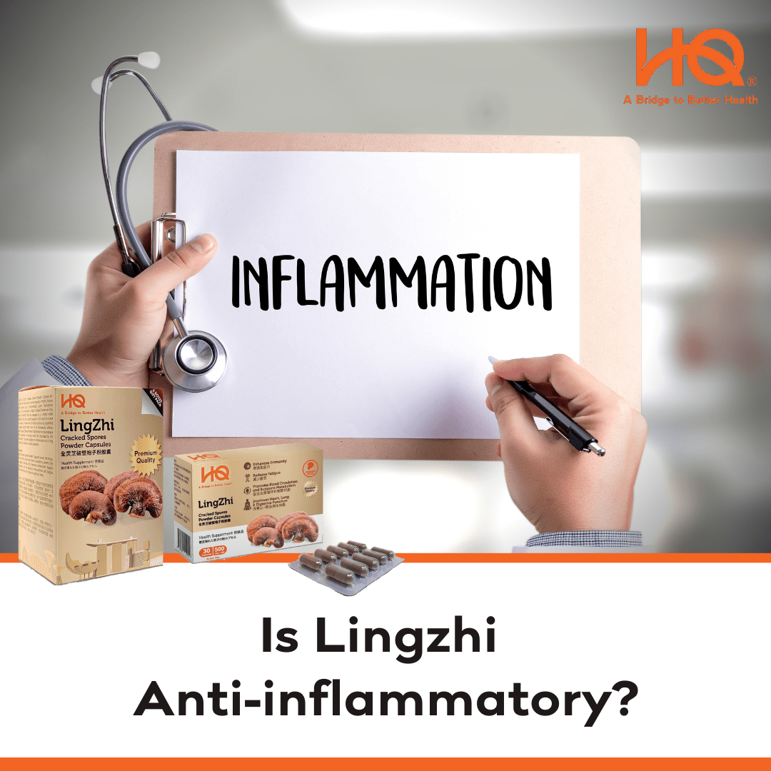 Is Lingzhi Anti-inflammatory? - HQ Lingzhi Singapore