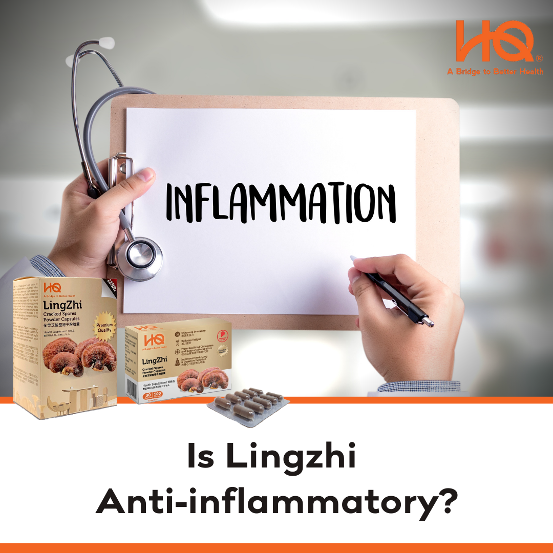 Is Lingzhi Anti-inflammatory?