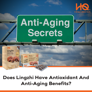 Does Lingzhi Have Antioxidant And Anti-Aging Benefits?