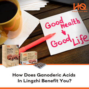 How Does Ganoderic Acids In Lingzhi Benefit You?