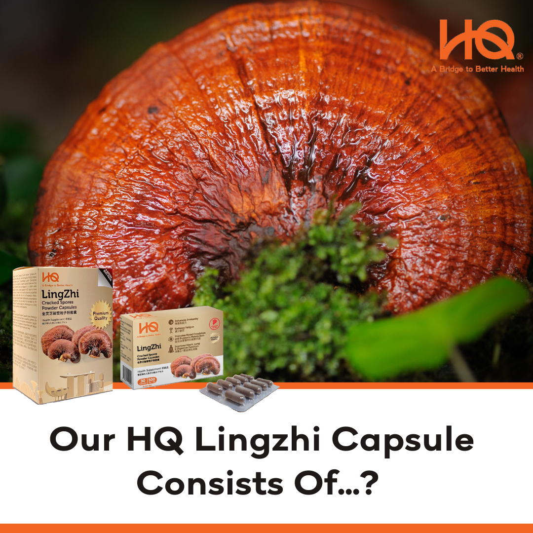 Our HQ Lingzhi Capsule Consists Of...?