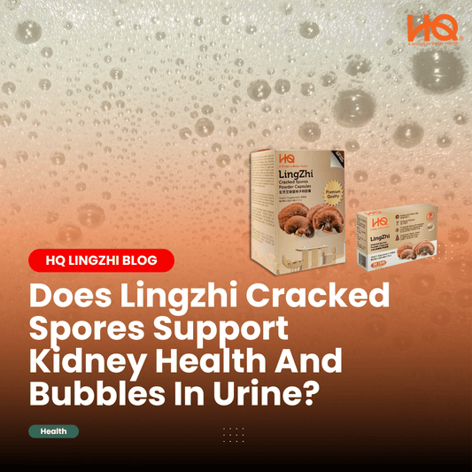 Does Lingzhi Cracked Spores Support Kidney Health And Bubbles In Urine? - HQ Lingzhi Singapore