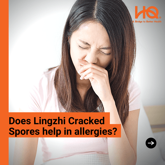 Does Lingzhi Cracked Spores help in allergies? - HQ Lingzhi Singapore