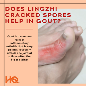 Does Lingzhi Cracked Spores help in gout?