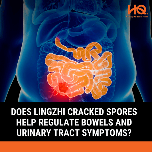 Does Lingzhi Cracked Spores help regulate bowels and urinary tract symptoms? - HQ Lingzhi Singapore