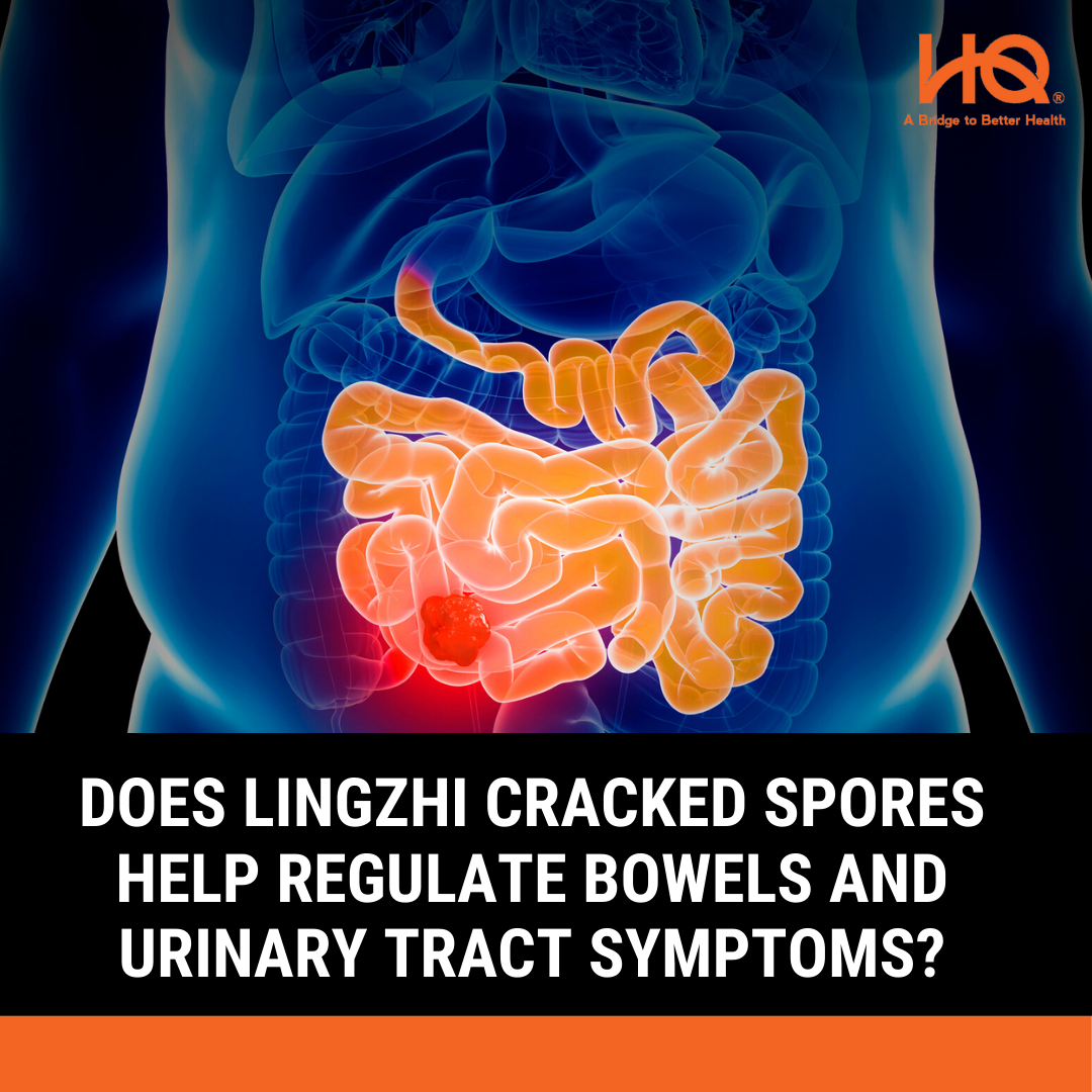Does Lingzhi Cracked Spores help regulate bowels and urinary tract symptoms?