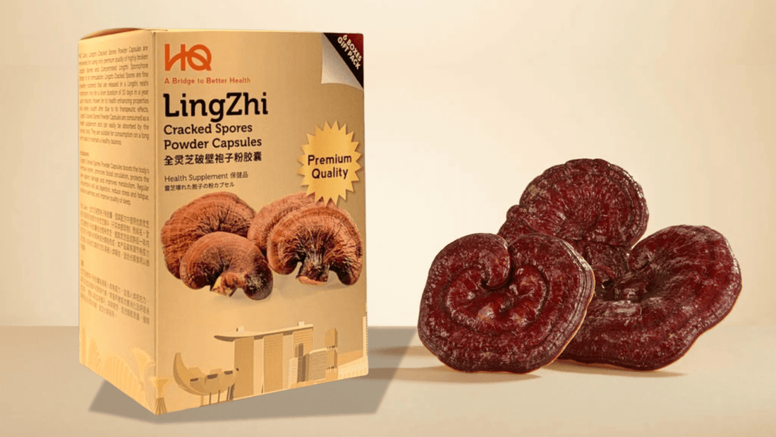 What are the benefits of Lingzhi? - HQ Lingzhi Singapore