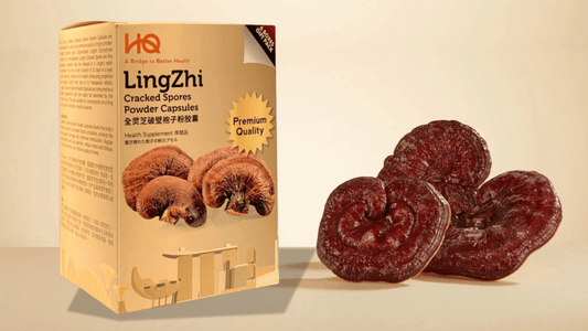 What are the benefits of Lingzhi? - HQ Lingzhi Singapore