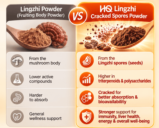 Lingzhi Powder vs Lingzhi Cracked Spores Powder: What's the Difference? - HQ Lingzhi Singapore