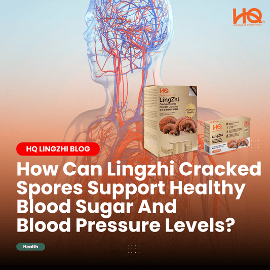 How Can Lingzhi Cracked Spores Support Healthy Blood Sugar And Blood Pressure Levels? - HQ Lingzhi Singapore