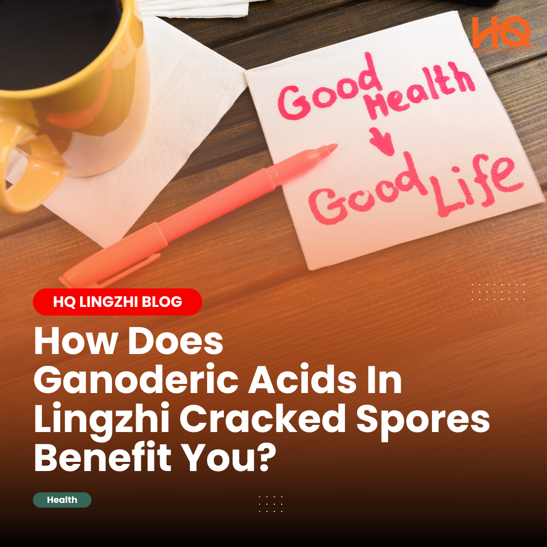 How Does Ganoderic Acids In Lingzhi Benefit You?