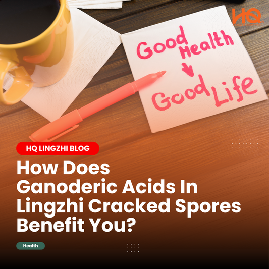 How Does Ganoderic Acids In Lingzhi Benefit You?