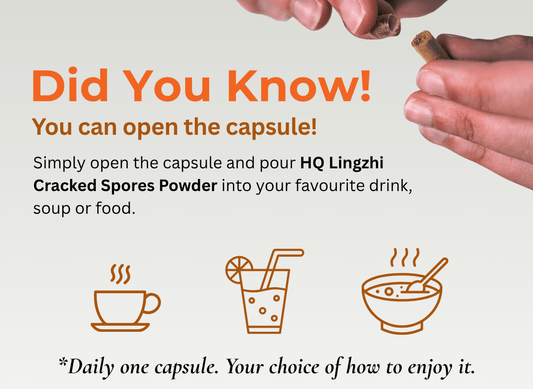 Can You Open HQ Lingzhi Capsules? Easy Ways to Enjoy HQ Lingzhi Cracked Spores Powder - HQ Lingzhi Singapore