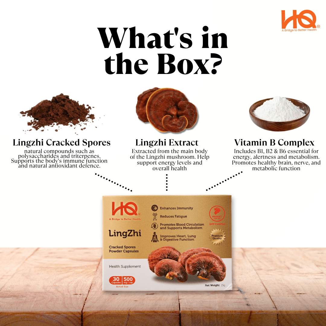 Our HQ Lingzhi Capsule Consists Of...? - HQ Lingzhi Singapore