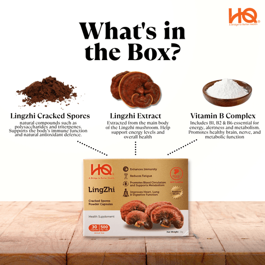 Our HQ Lingzhi Capsule Consists Of...? - HQ Lingzhi Singapore