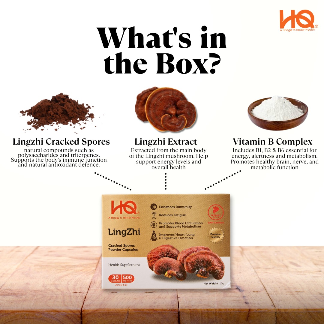 Our HQ Lingzhi Capsule Consists Of...?