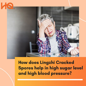 How does Lingzhi Cracked Spores help in high sugar level and high blood pressure?