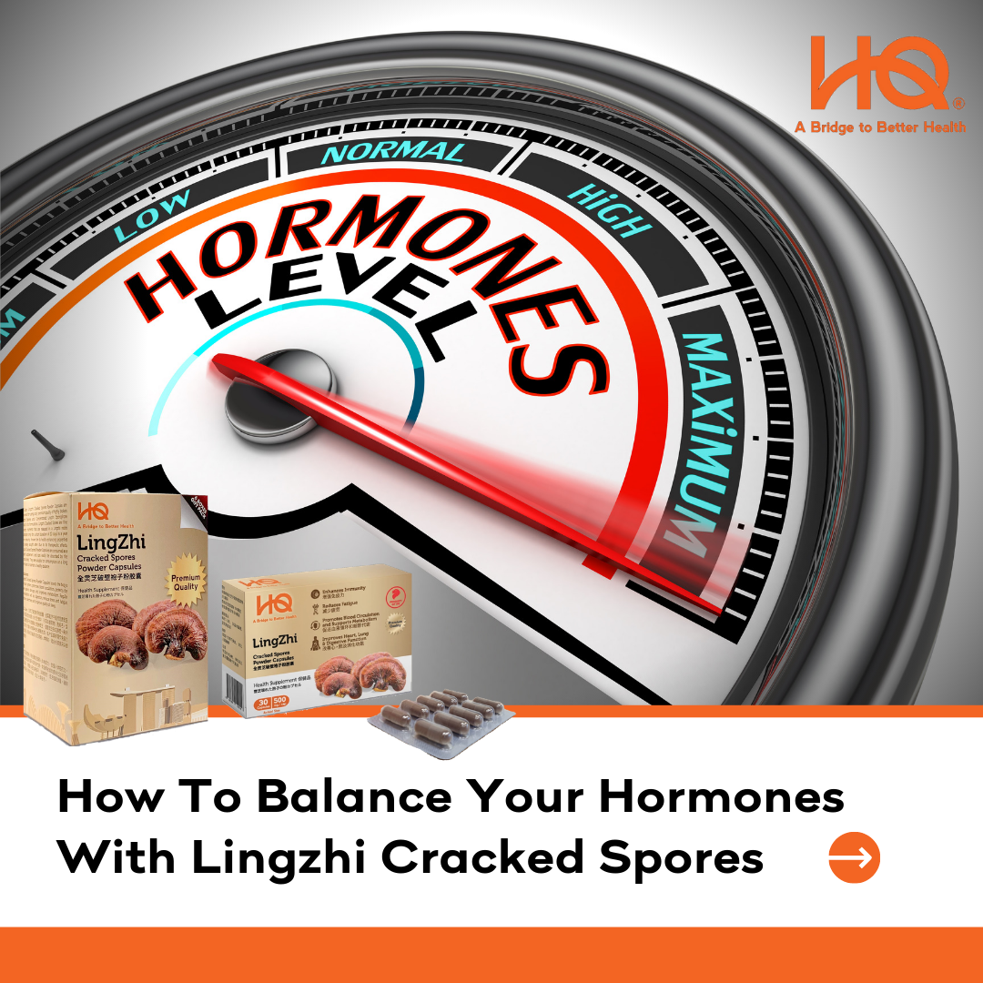 How To Balance Your Hormones With Lingzhi Cracked Spores?