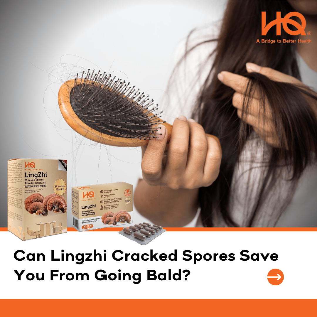 Can Lingzhi Cracked Spores Save You From Going Bald? - HQ Lingzhi Singapore