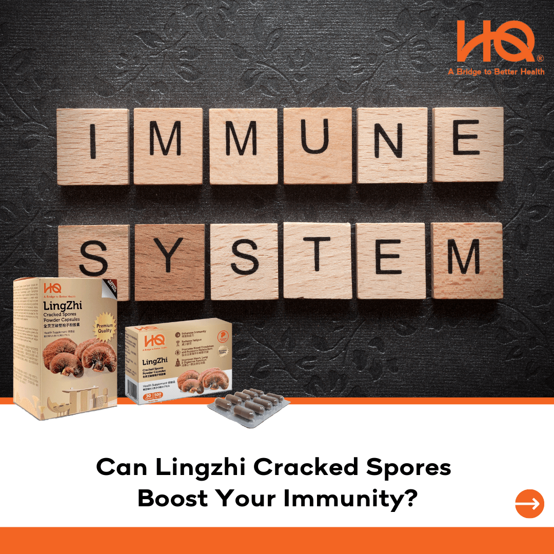 Can Lingzhi Cracked Spores Boost Your Immunity? - HQ Lingzhi Singapore
