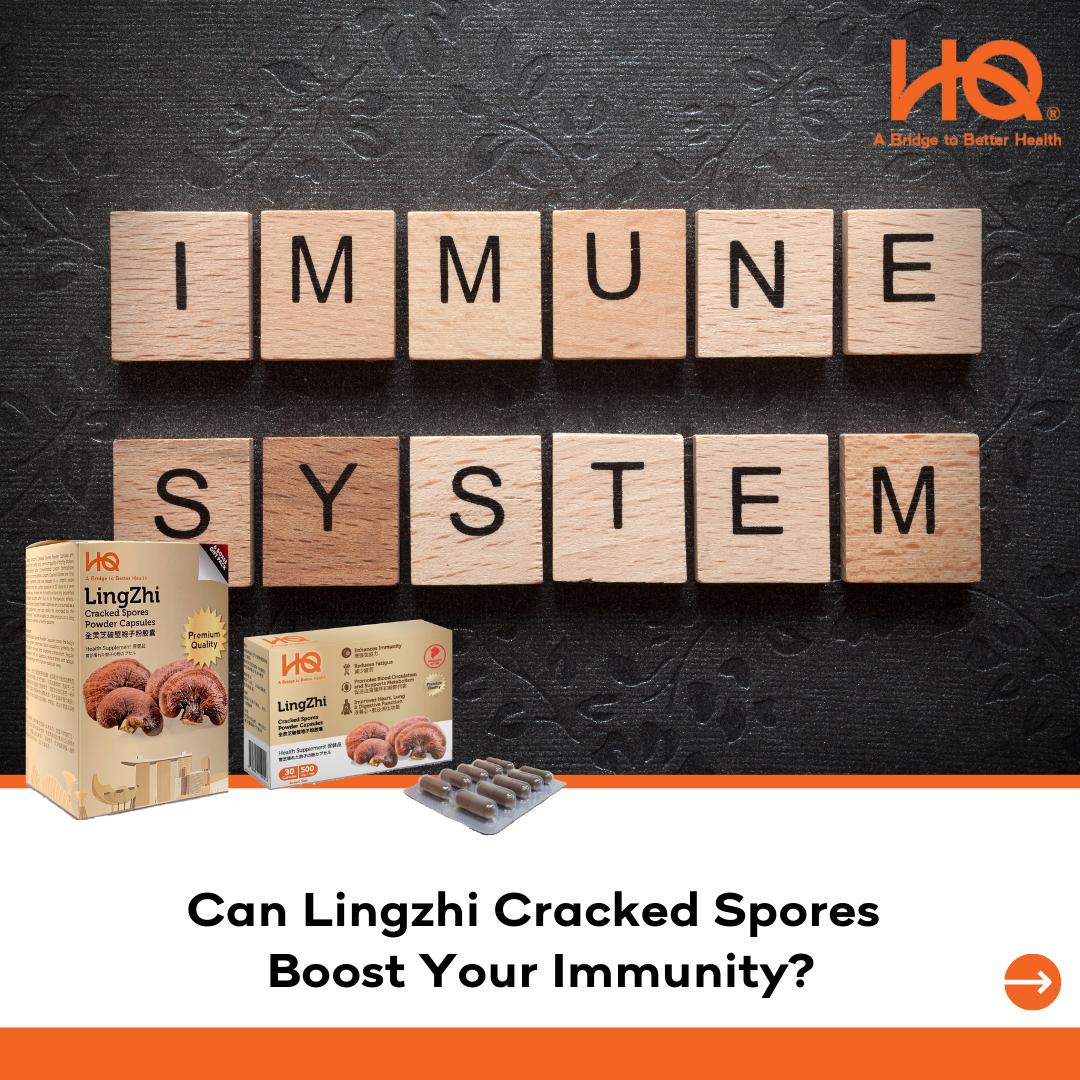 Can Lingzhi Cracked Spores Boost Your Immunity?