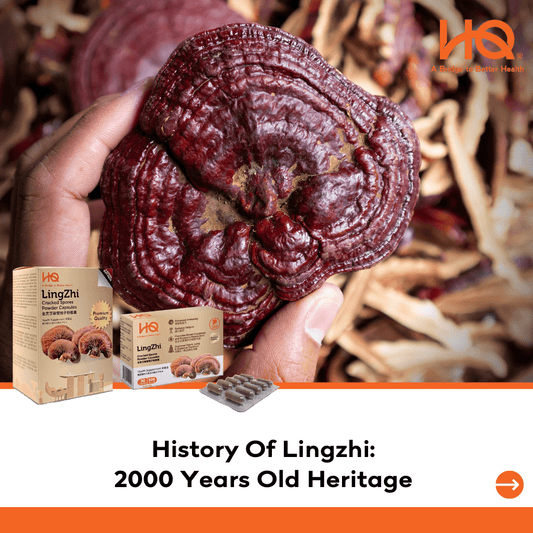 History Of Lingzhi - 2000 Years Old Heritage - HQ Lingzhi Singapore