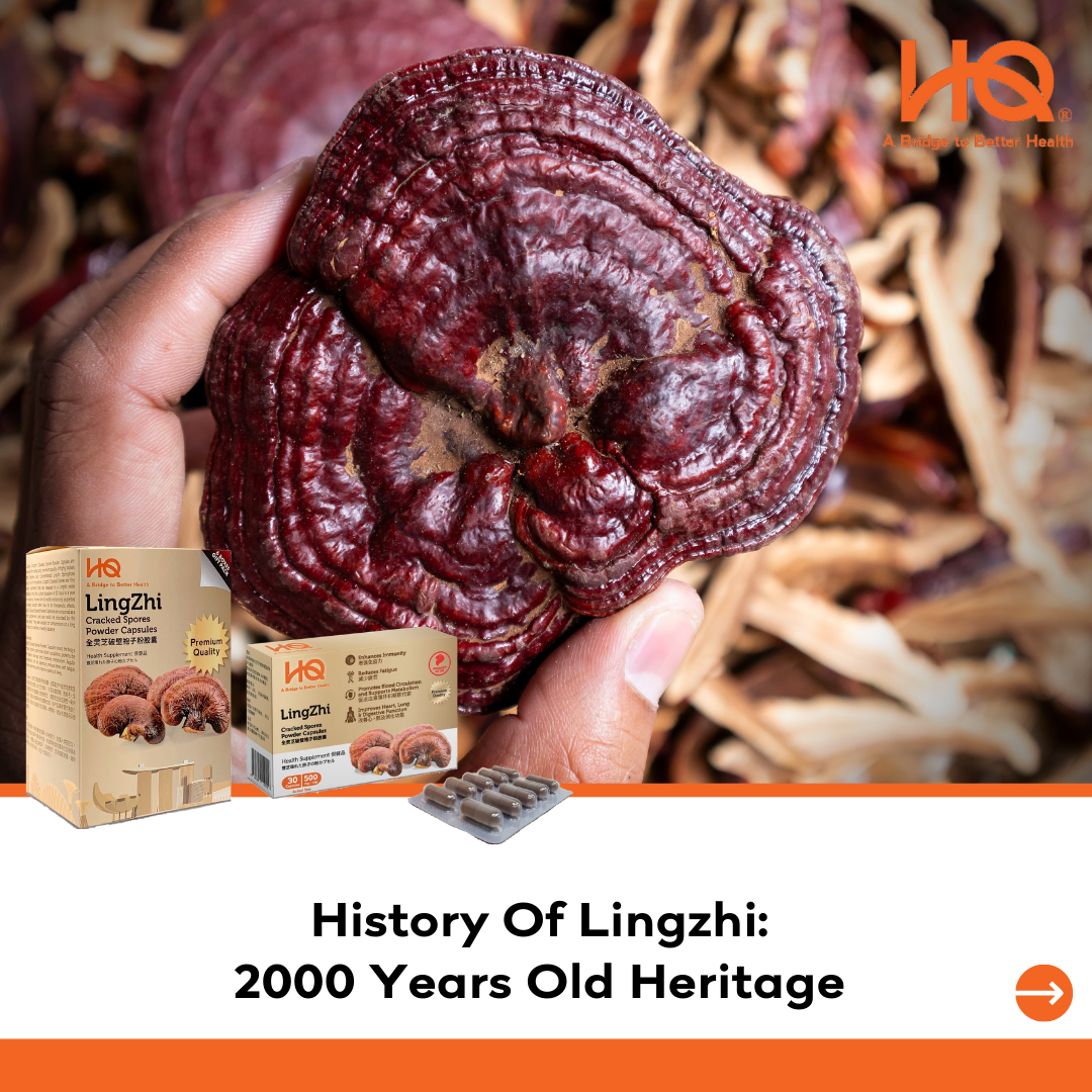 History Of Lingzhi - 2000 Years Old Heritage
