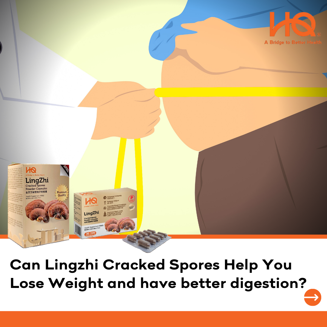 Can Lingzhi Cracked Spores Help You Lose Weight and have better digestion?