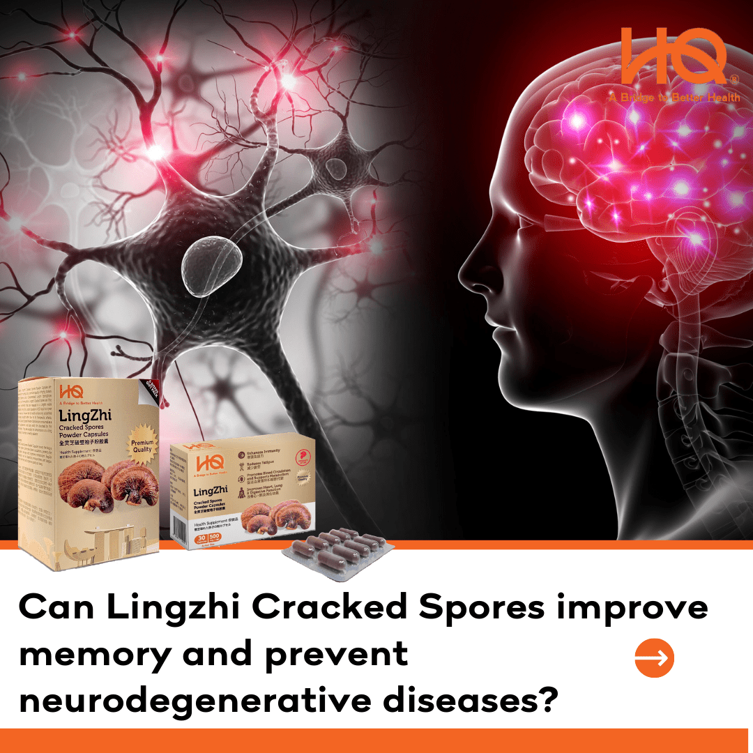 Can Lingzhi Cracked Spores improve memory and prevent neurodegenerative diseases? - HQ Lingzhi Singapore