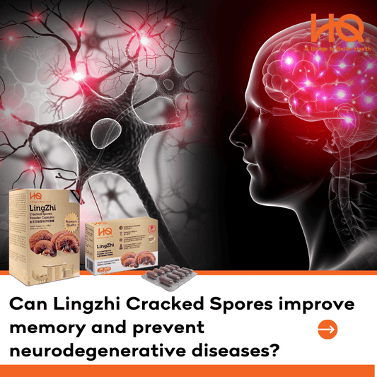 Can Lingzhi Cracked Spores improve memory and prevent neurodegenerative diseases? - HQ Lingzhi Singapore