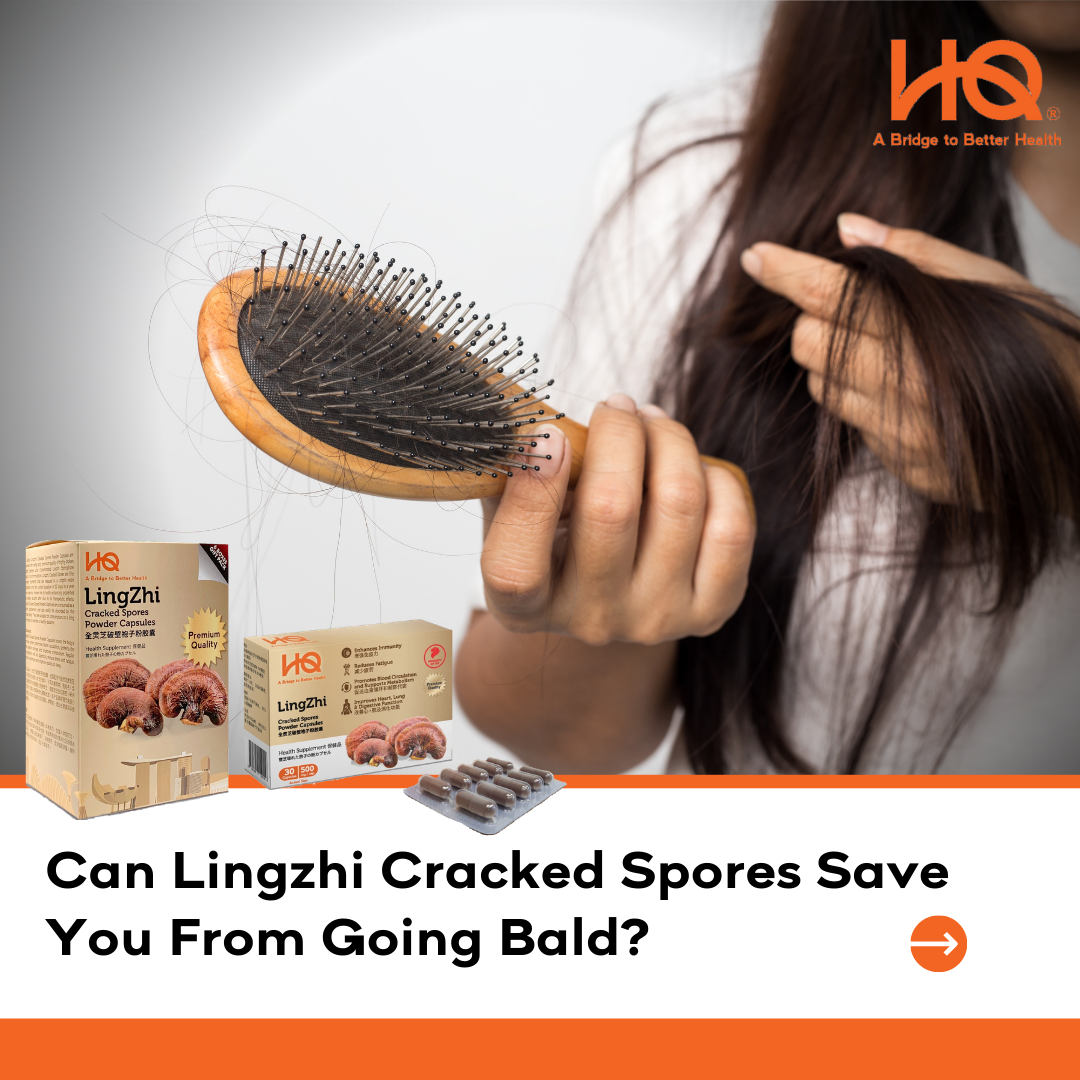 Can Lingzhi Cracked Spores Save You From Going Bald?
